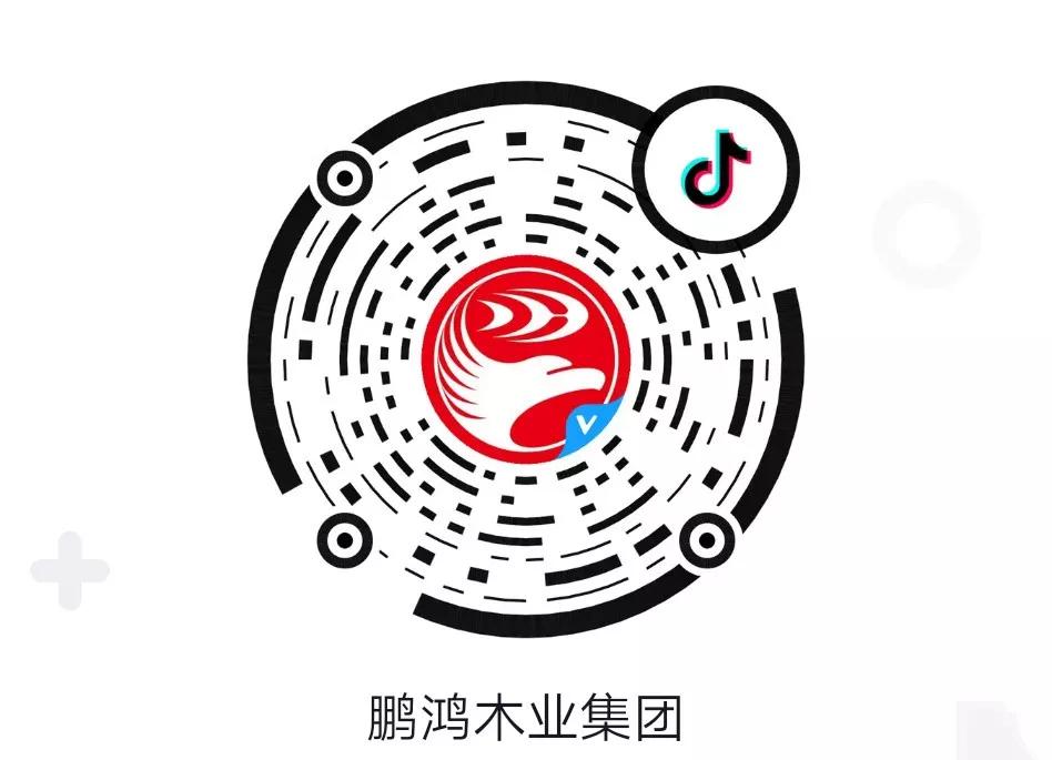 这厢有礼丨这个春节我最鸿，抖音相伴幸福年