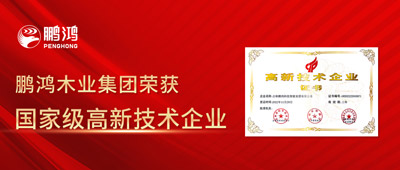 荣誉即使命——鹏鸿获国家级高新技术企业认定